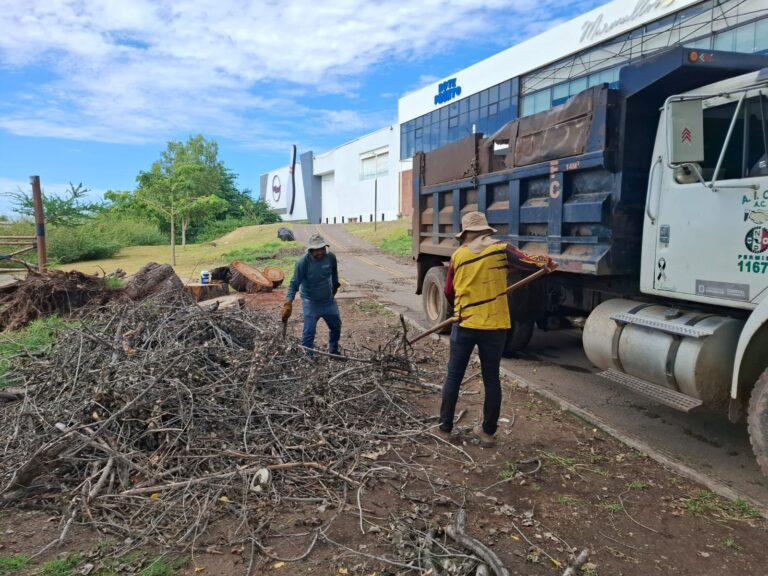 Trabajos de limpieza y acondicionamiento registran un 65 por ciento de avance en el Parque Las Riberas